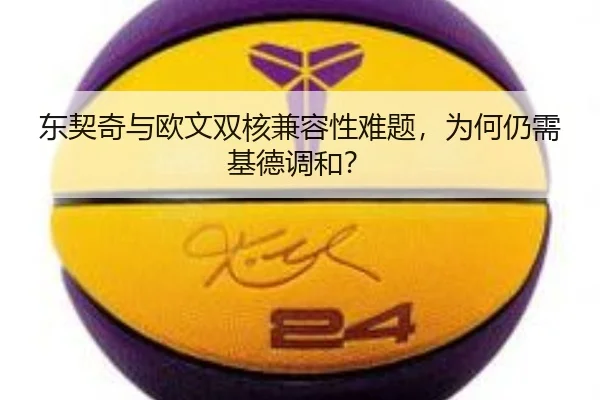 东契奇与欧文双核兼容性难题,为何仍需基德调和?