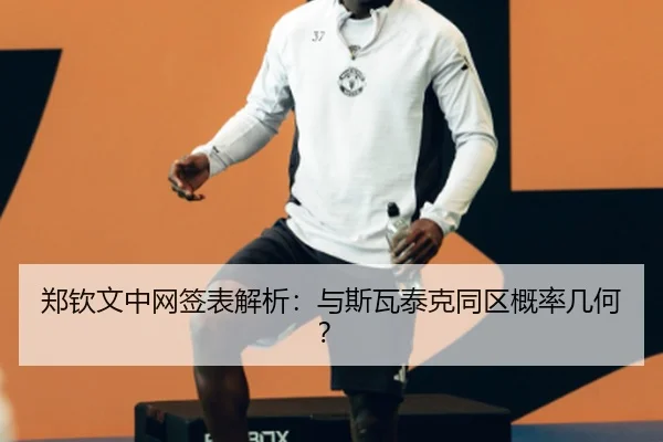郑钦文中网签表解析：与斯瓦泰克同区概率几何？